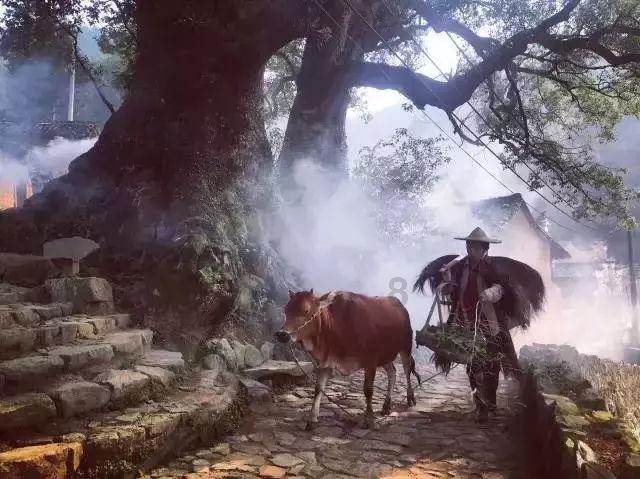 泡泡魔导师